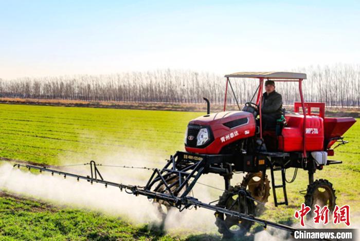 疫情倒逼农业大省山东描绘高科技“春耕图”